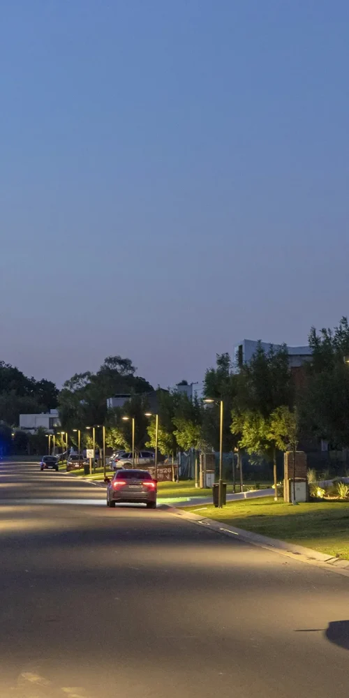 los-cardos-punta-chica-foto-header-3