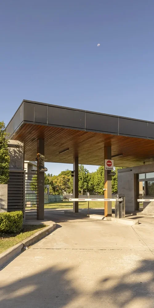 los-cardos-punta-chica-foto-header