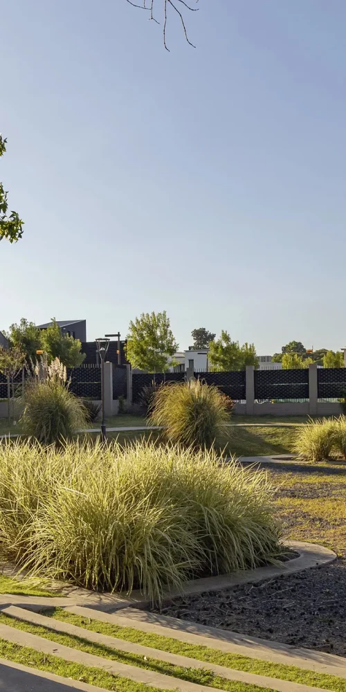 los-cardos-punta-chica-lotes-1